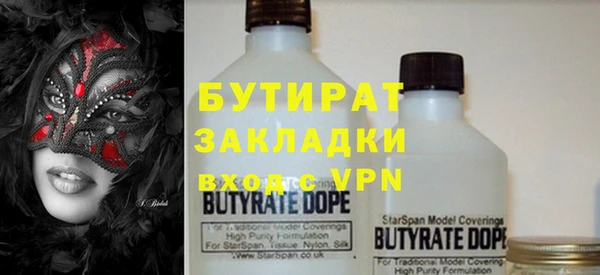 крисы Бородино