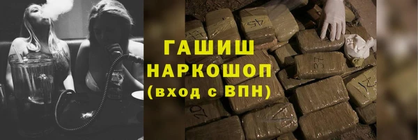 крисы Бородино