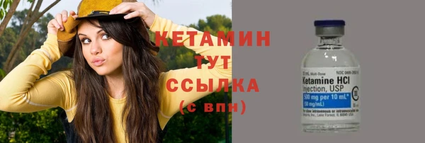 крисы Бородино