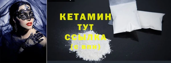 крисы Бородино