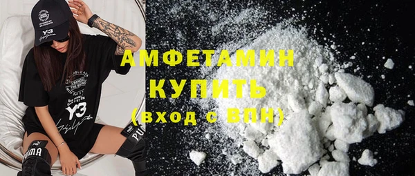 крисы Бородино