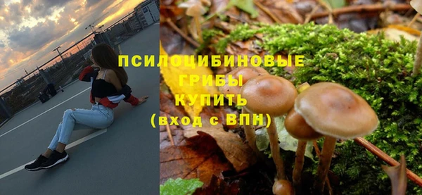 крисы Бородино