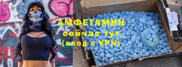 крисы Бородино