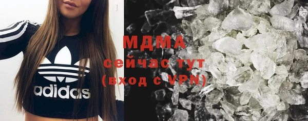 крисы Бородино