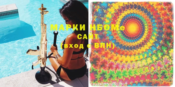 крисы Бородино