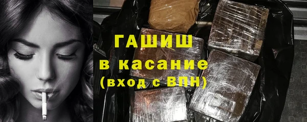 крисы Бородино