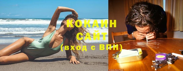 крисы Бородино