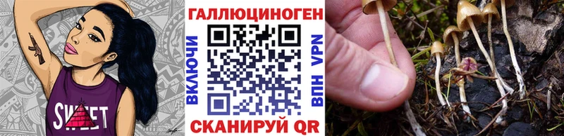 Галлюциногенные грибы мухоморы  как найти закладки  МЕГА маркетплейс  Ковдор 